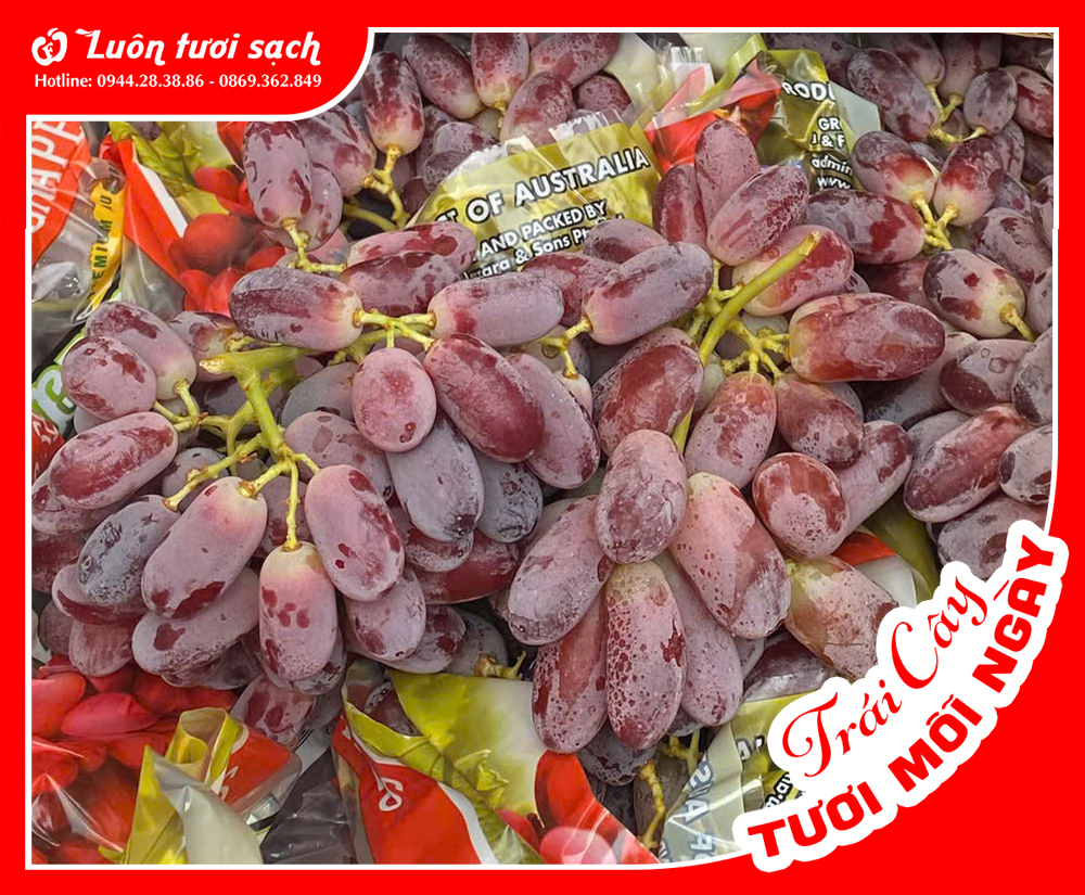 Nho đỏ Lazzara Úc